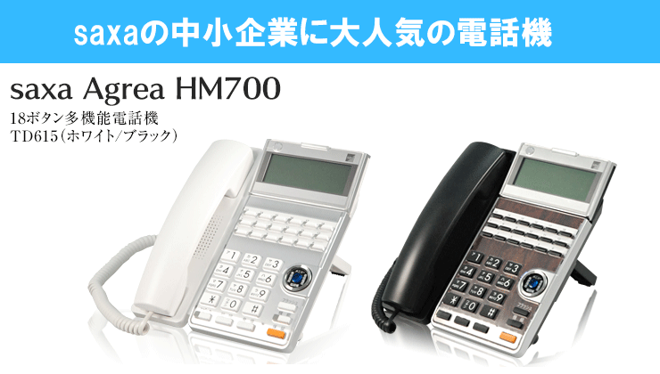 タムラ・大興からの乗り換えNo.1！！saxa Agrea HM700 