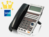 1位 saxa Agrea HM700
