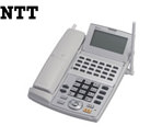 NTT NX（24） CCLSTEL-（1）