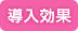 導入効果