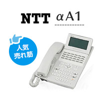 人気売れ筋 NTT αA1