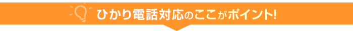 ひかり電話対応のここがポイント！