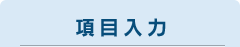 項目入力