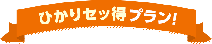 ひかりセッ得プラン！