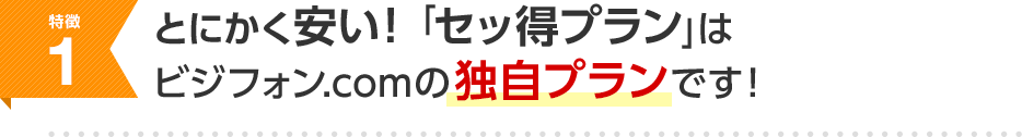 特徴1 とにかく安い！「セッ得プラン」はビジフォン.comの独自プランです！
