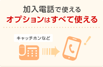 加入電話で使えるオプションはすべて使える