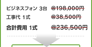 ビジネスフォン3台@198,000円
							 工事代1式@38,500円 合計費用1式@236,500円