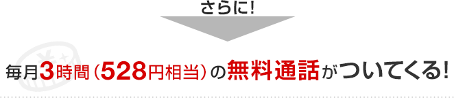 さらに！毎月3時間（528円相当）の無料通話がついてくる！