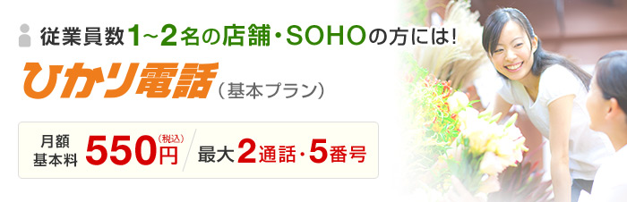 従業員数1～2名の店舗・SOHOの方には！ひかり電話（基本プラン）月額基本料550円 / 最大2通話・5番号