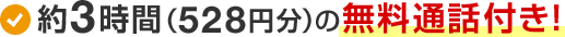 約3時間（528円分）の無料通話付き！