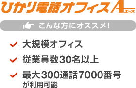ひかり電話オフィスA こんな方にオススメ！大規模オフィス／従業員数30名以上／最大300通話7000番号が利用可能