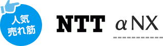 人気売れ筋 NTT αNX