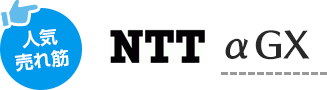 人気売れ筋 NTT αGX