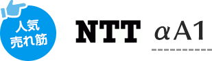 人気売れ筋 NTT αA1