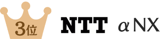 価格別売れ筋3位 NTT αNX