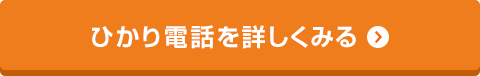 ひかり電話を詳しくみる