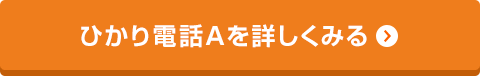 ひかり電話Aを詳しくみる