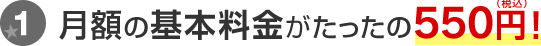 月額の基本料金がたったの550円！