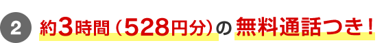 2.約3時間（528円分）の無料通話つき！