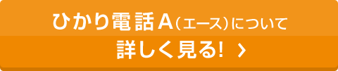 ひかり電話A（エース）について詳しく見る！