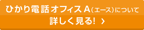 ひかり電話オフィスA（エース）について詳しく見る！