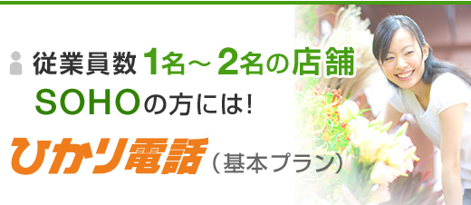 従業員数1～2名の店舗・SOHOの方には！ひかり電話（基本プラン）