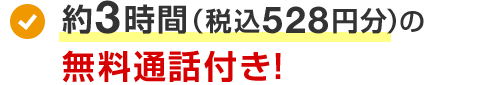 約3時間（528円分）の無料通話付き！