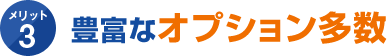 メリット3 豊富なオプション多数