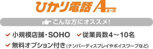 ひかり電話エース こんな方にオススメ！ 小規模店舗・SOHO／従業員数4～10名／無料オプション付き(ナンバーディスプレイやボイスワープなど)