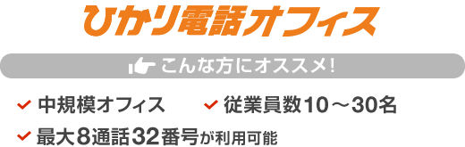 ひかり電話オフィス こんな方にオススメ！ 中規模オフィス／従業員数10～30名／最大8通話32番号が利用可能