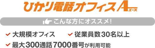 ひかり電話オフィスA こんな方にオススメ！大規模オフィス／従業員数30名以上／最大300通話7000番号が利用可能